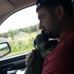 A man holding a puppy in the passenger seat of a car.
